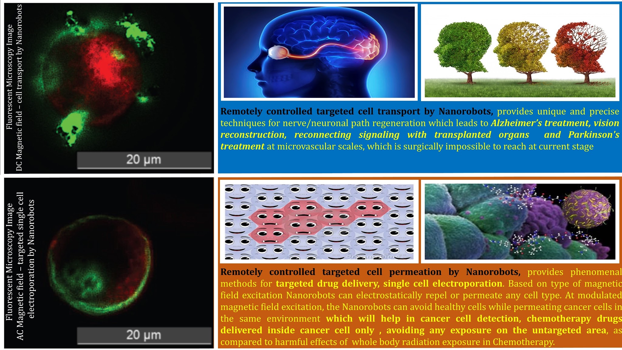 Magnetoelectric nanorobot characterization.